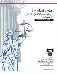 Image of The Merit System for Classified School Employees: Publication 313